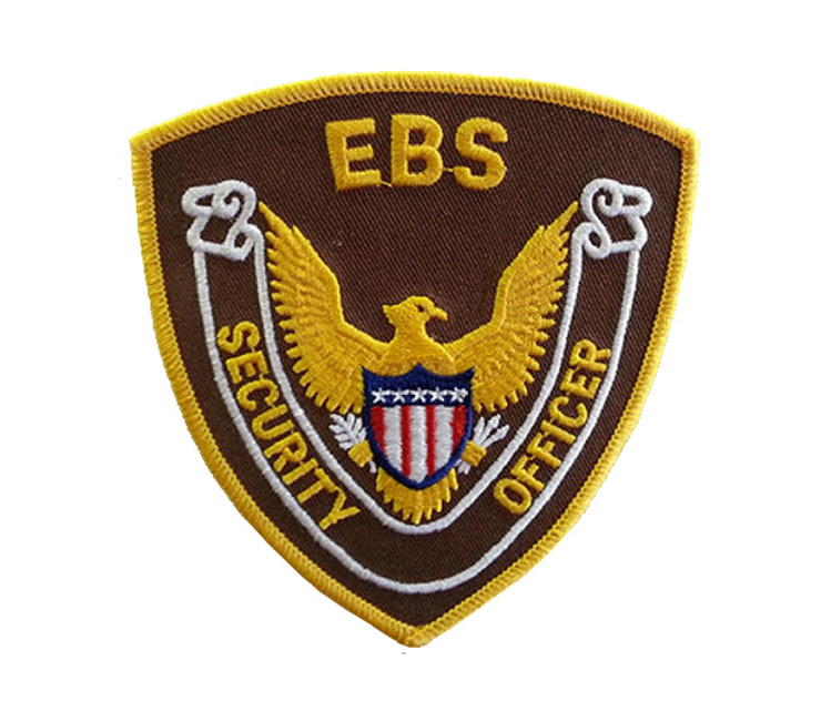 EBS Security Inc. Logo