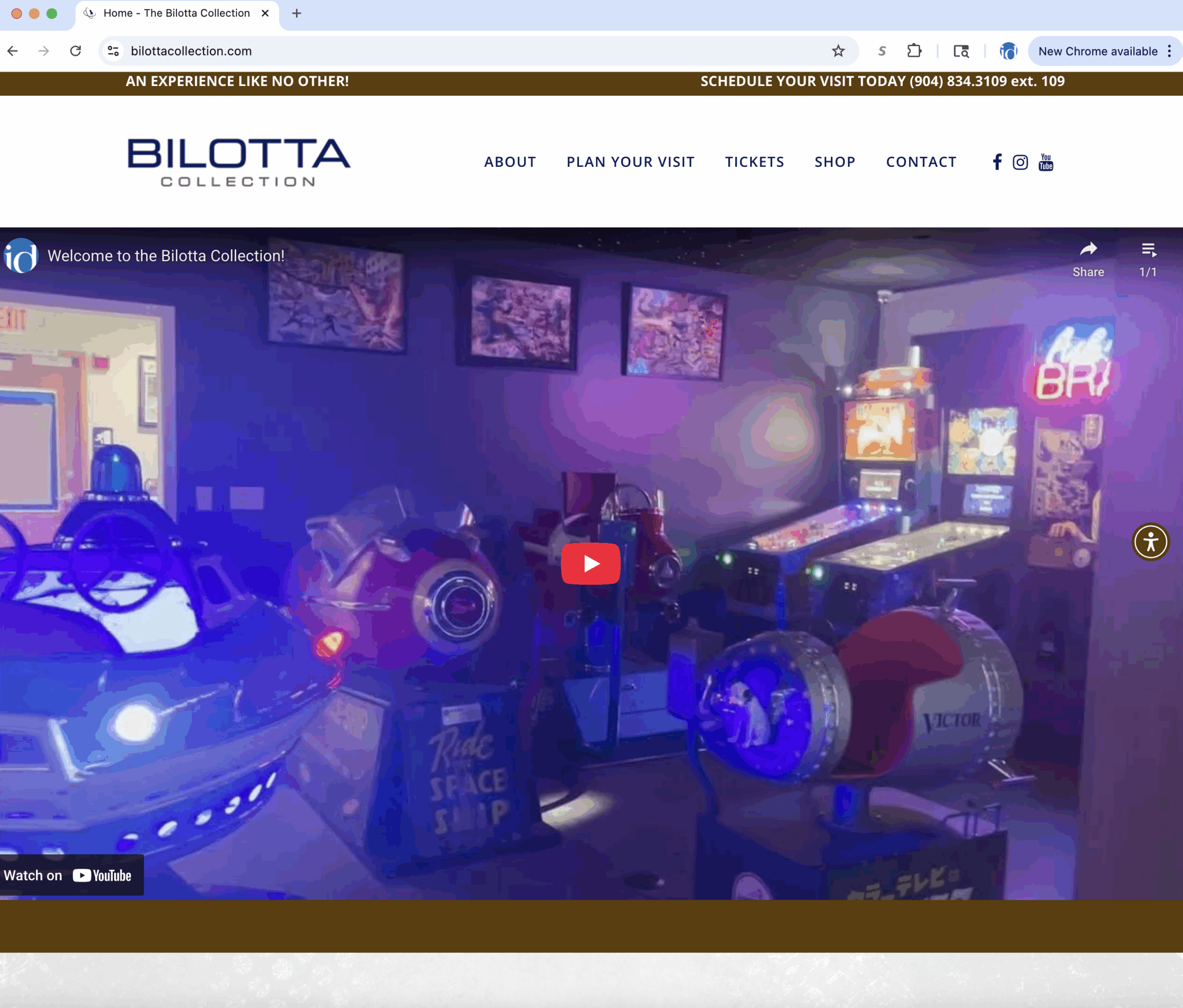 BilottaWebe